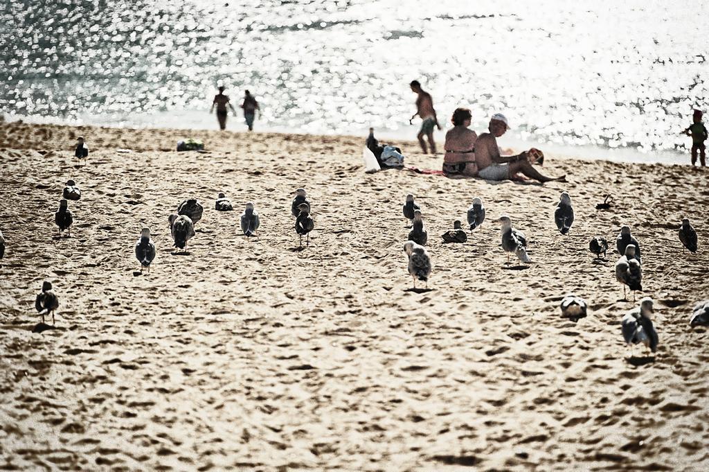 Rosamar Apartamentos Armação de Pêra Exteriér fotografie